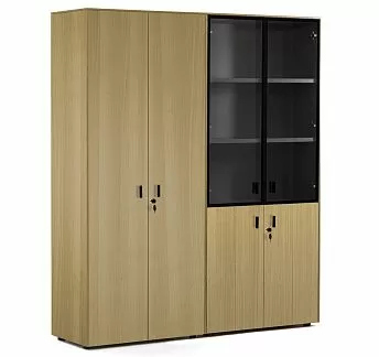 ЭНЦО/ENZO Шкаф комби + д/бумаг СВ.ЭВКАЛИПТ/ЧЕРНЫЙ