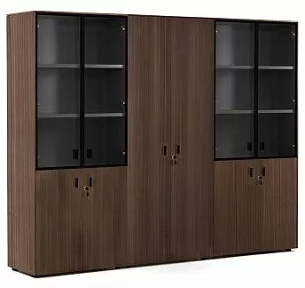 ЭНЦО/ENZO Шкаф комби x 2 с гардер ЭВКАЛИПТ МОРЕН/ЧЕРН